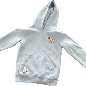 GOAT USA Sky Blue boys Hoodie size small